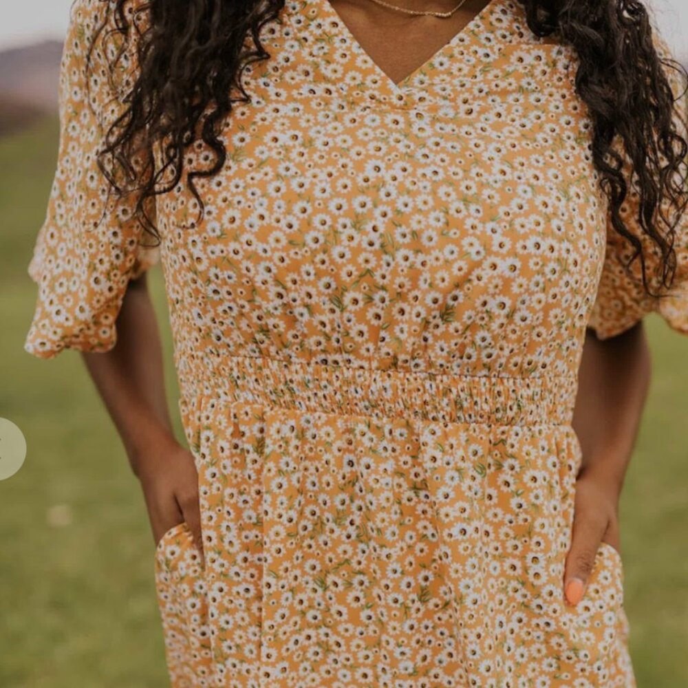 Roolee Martinez Floral Dress NWOT Size XXXL